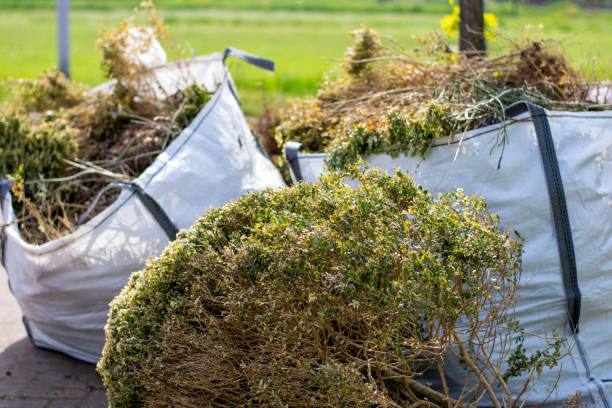 Best Shed Removal  in Vernon, AL