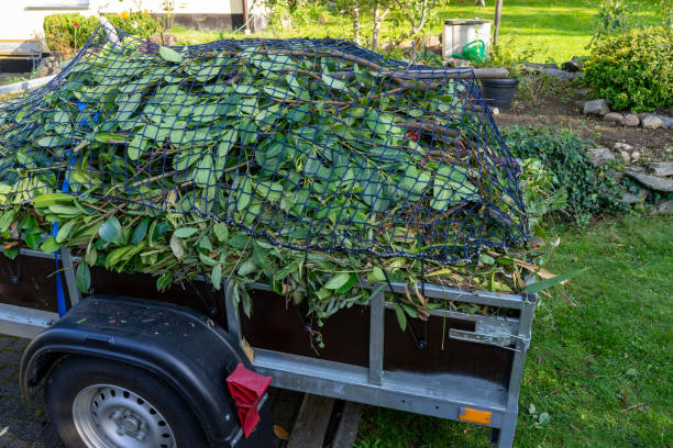 Best Yard Waste Removal  in Vernon, AL